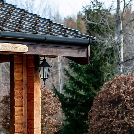 Loch Insh Chalets Ltd キンクレイグ エクステリア 写真