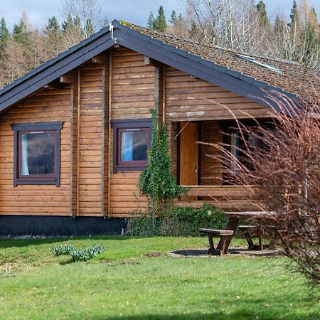 Loch Insh Chalets Ltd キンクレイグ エクステリア 写真