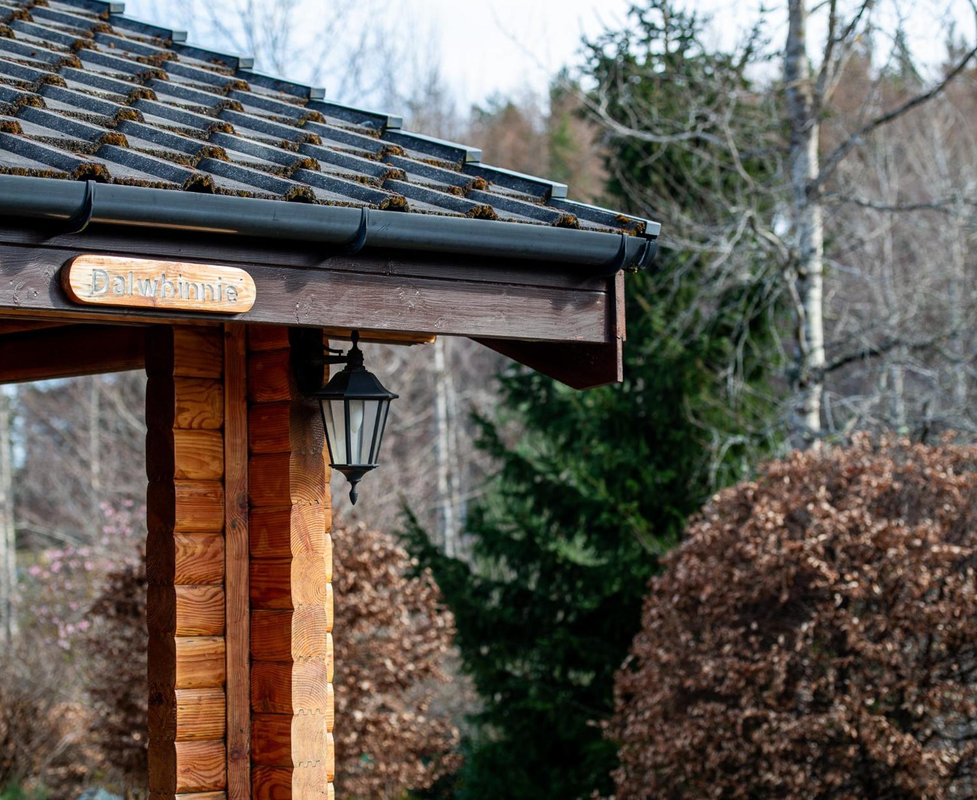 Loch Insh Chalets Ltd キンクレイグ エクステリア 写真